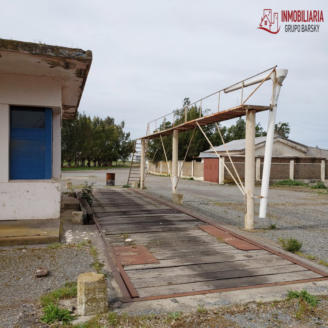 Campo  en Venta   Coronel Dorrego - Bahía Blanca Propiedades | SITIO OFICIAL l
