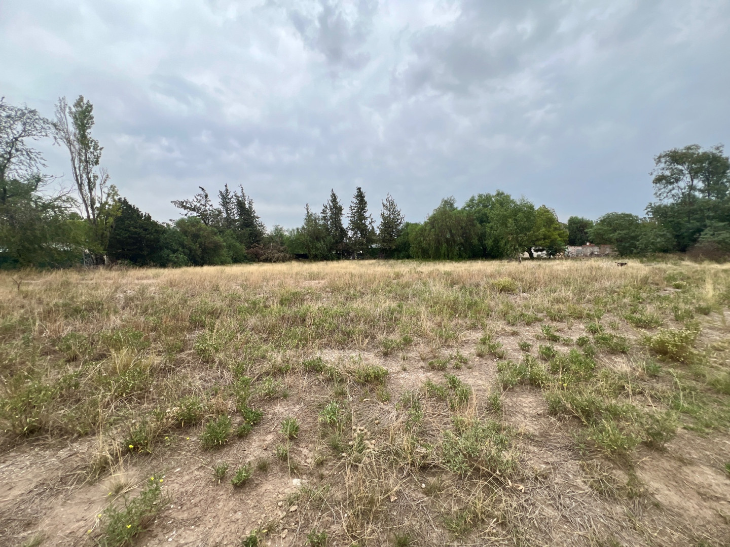Terreno en Venta en Baigorria 4100, San Miguel, Bahía Blanca - Bahía Blanca Propiedades | SITIO OFICIAL l