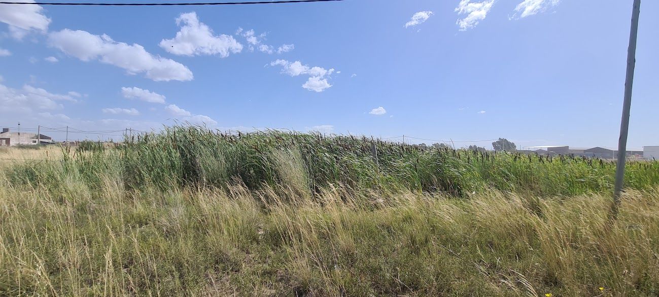 Terreno en Venta en Zelarrayán 4060, Alternativa Bahiense, Bahía Blanca - Bahía Blanca Propiedades | SITIO OFICIAL l