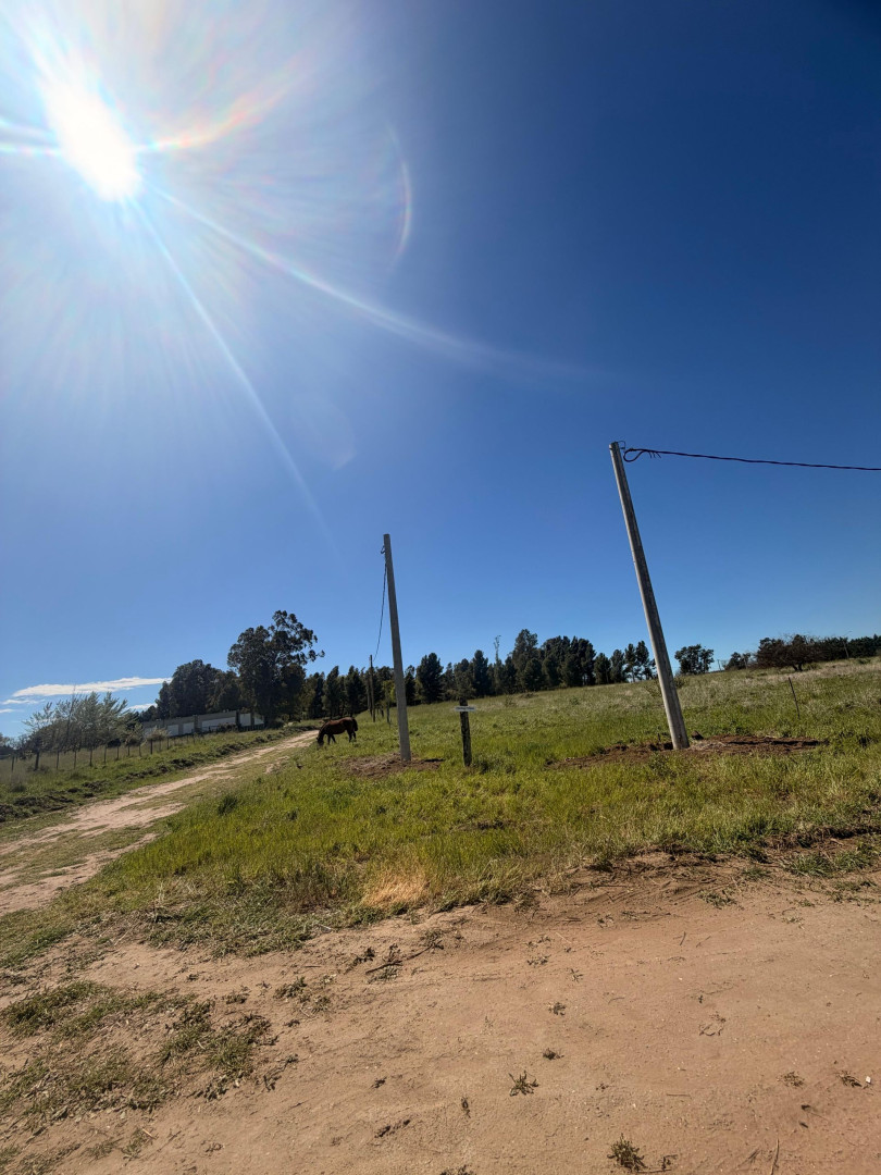 Terreno en Venta en Felipe Varela 1600, San Carlos, Bahía Blanca - Bahía Blanca Propiedades | SITIO OFICIAL l