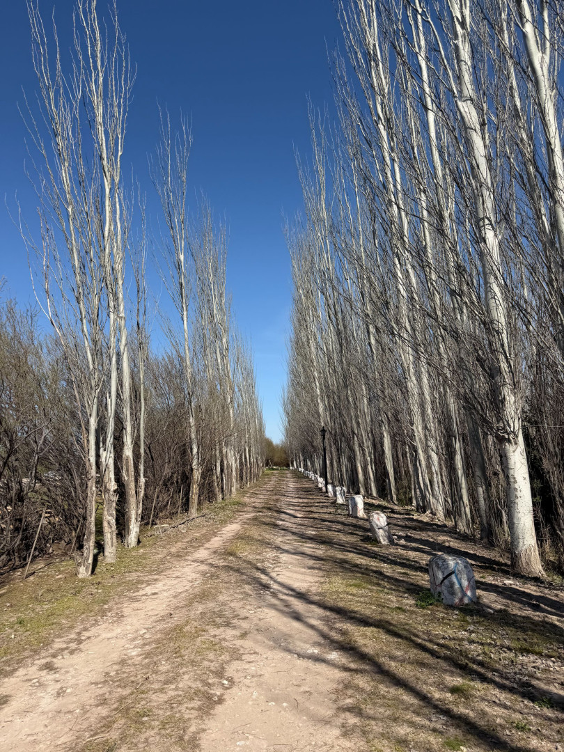 Casa en Venta en Sarmiento 1700,  General Cerri - Bahía Blanca Propiedades | SITIO OFICIAL l