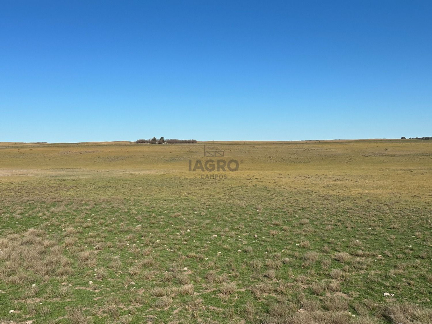 Campo  en Venta en Partido De Villarino,  Villarino - Bahía Blanca Propiedades | SITIO OFICIAL l