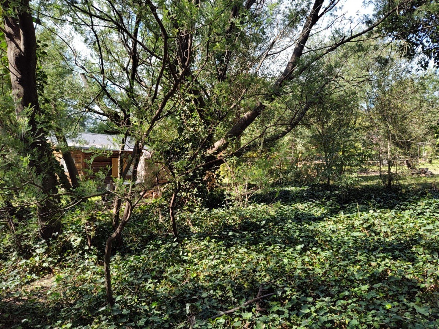 Terreno en Venta en Curamalal Y Churrinche,  Villa Ventana - Bahía Blanca Propiedades | SITIO OFICIAL l