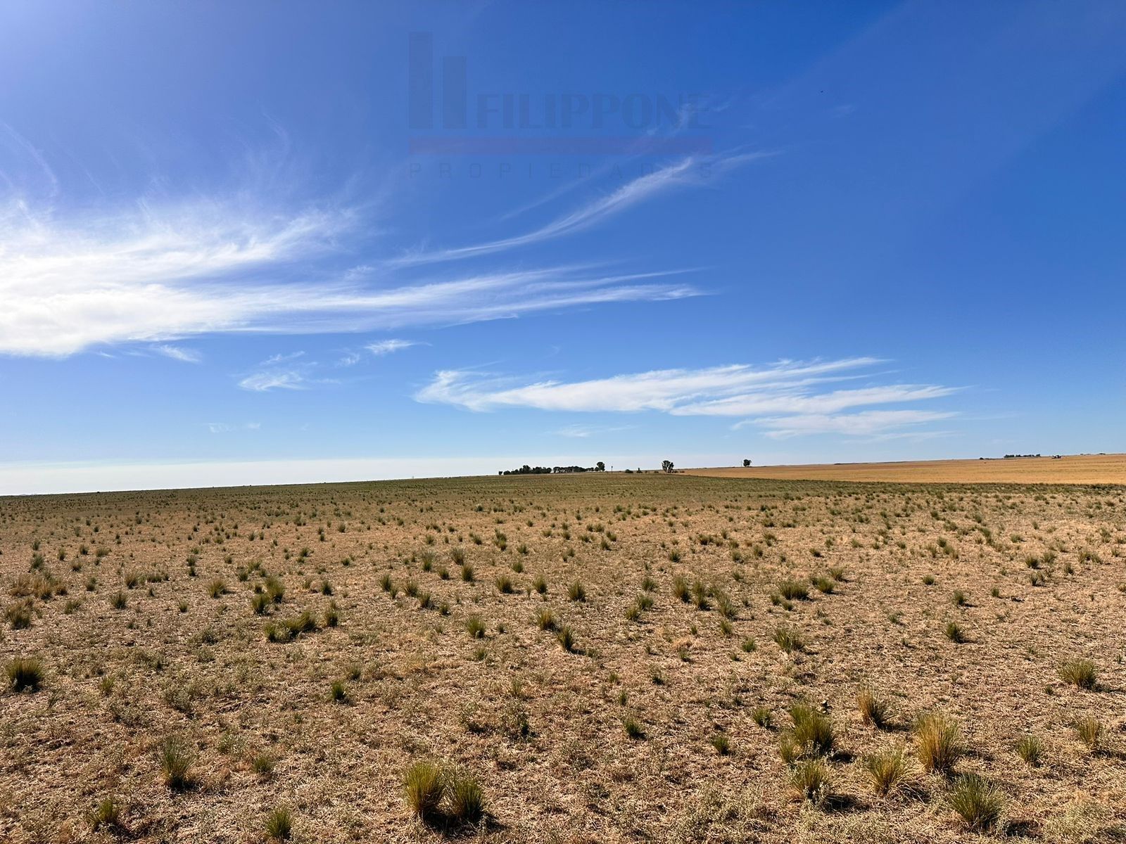 Campo  en Venta en Ruta 35,  Bahía Blanca - Bahía Blanca Propiedades | SITIO OFICIAL l