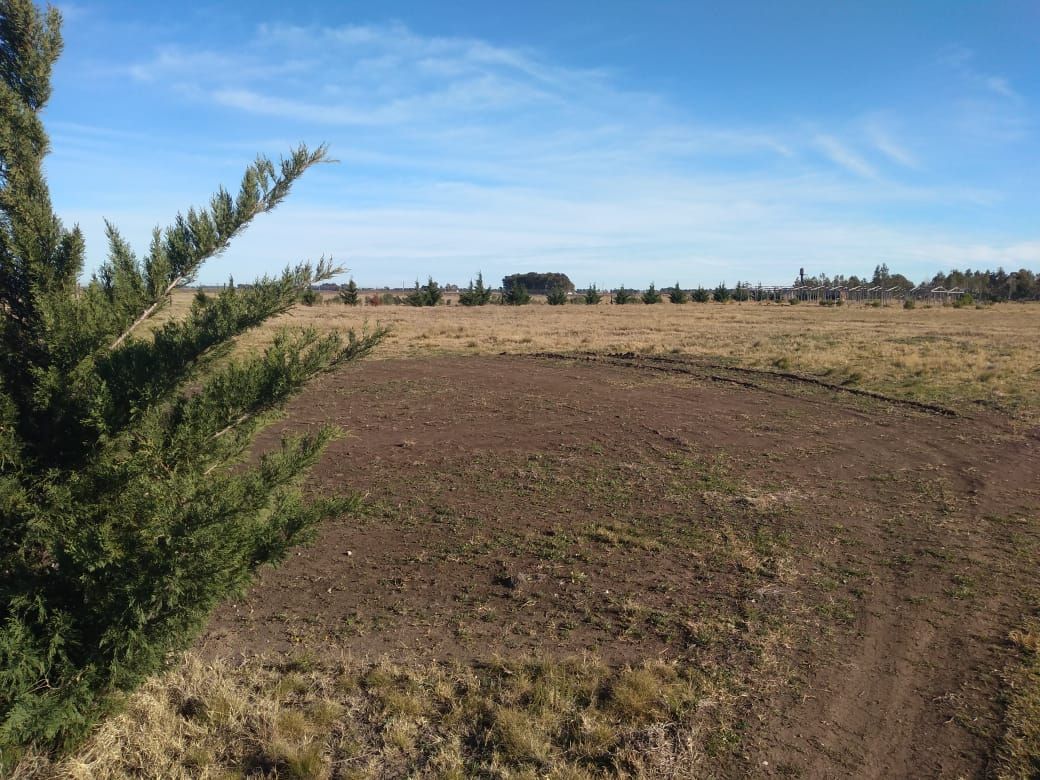 Terreno en Venta en Ruta 3 Km 594,  Coronel Dorrego - Bahía Blanca Propiedades | SITIO OFICIAL l