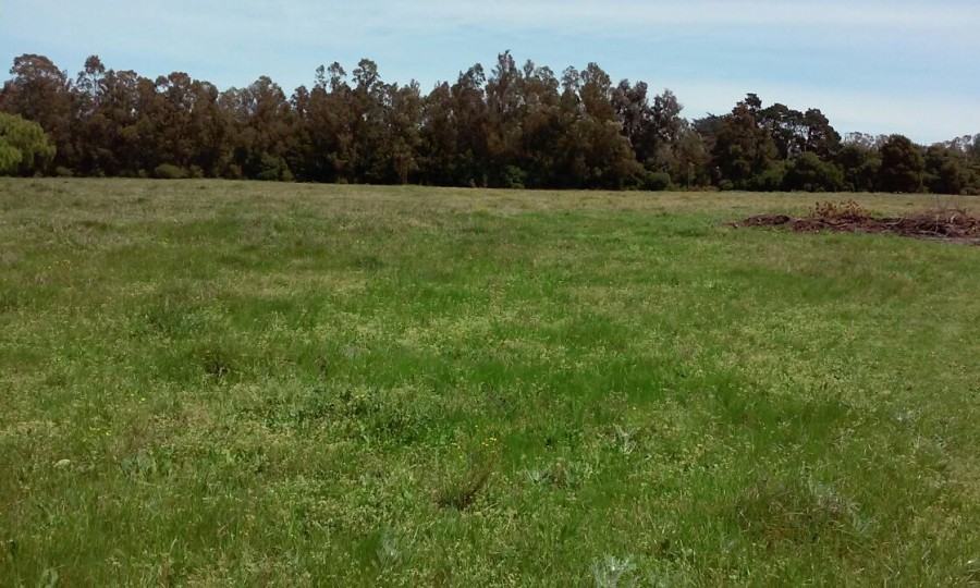 Campo  en Venta en Ciudad De Miramar,  Miramar - Bahía Blanca Propiedades | SITIO OFICIAL l