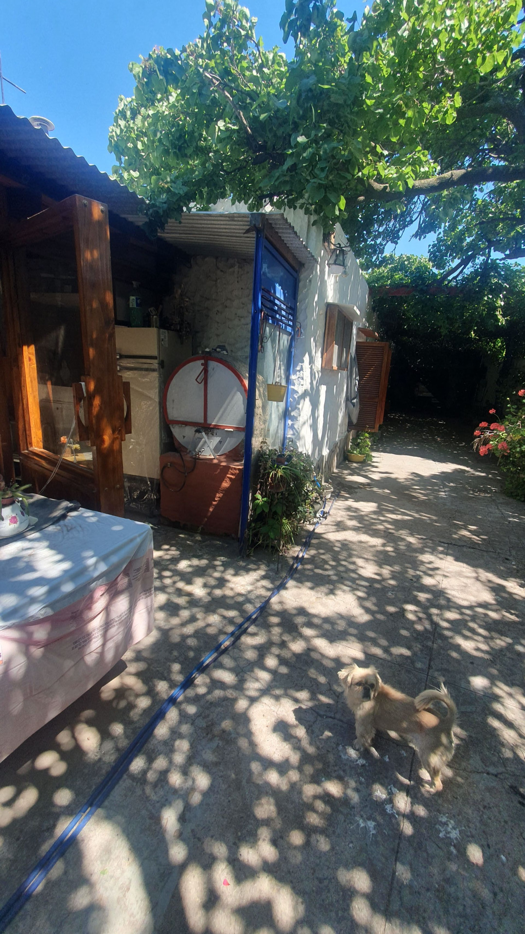 Casa en Venta en Tarapaca 1844, Villa Rosas, Bahía Blanca - Bahía Blanca Propiedades | SITIO OFICIAL l