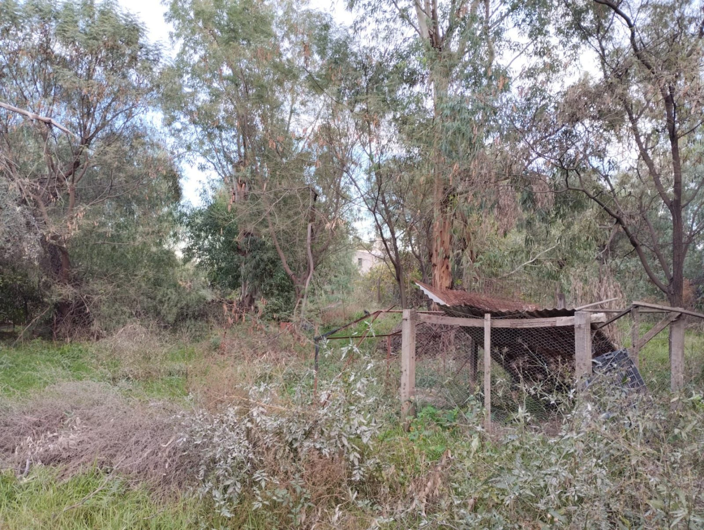 Terreno en Venta en Gualeguay Y Baigorria, San Miguel, Bahía Blanca - Bahía Blanca Propiedades | SITIO OFICIAL l