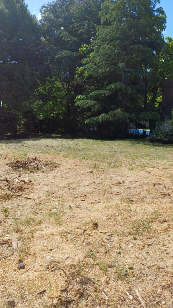 Terreno en Venta en Calle Huaglen Entre Espora Y San Martin,  Pehuen Co - Bahía Blanca Propiedades | SITIO OFICIAL l