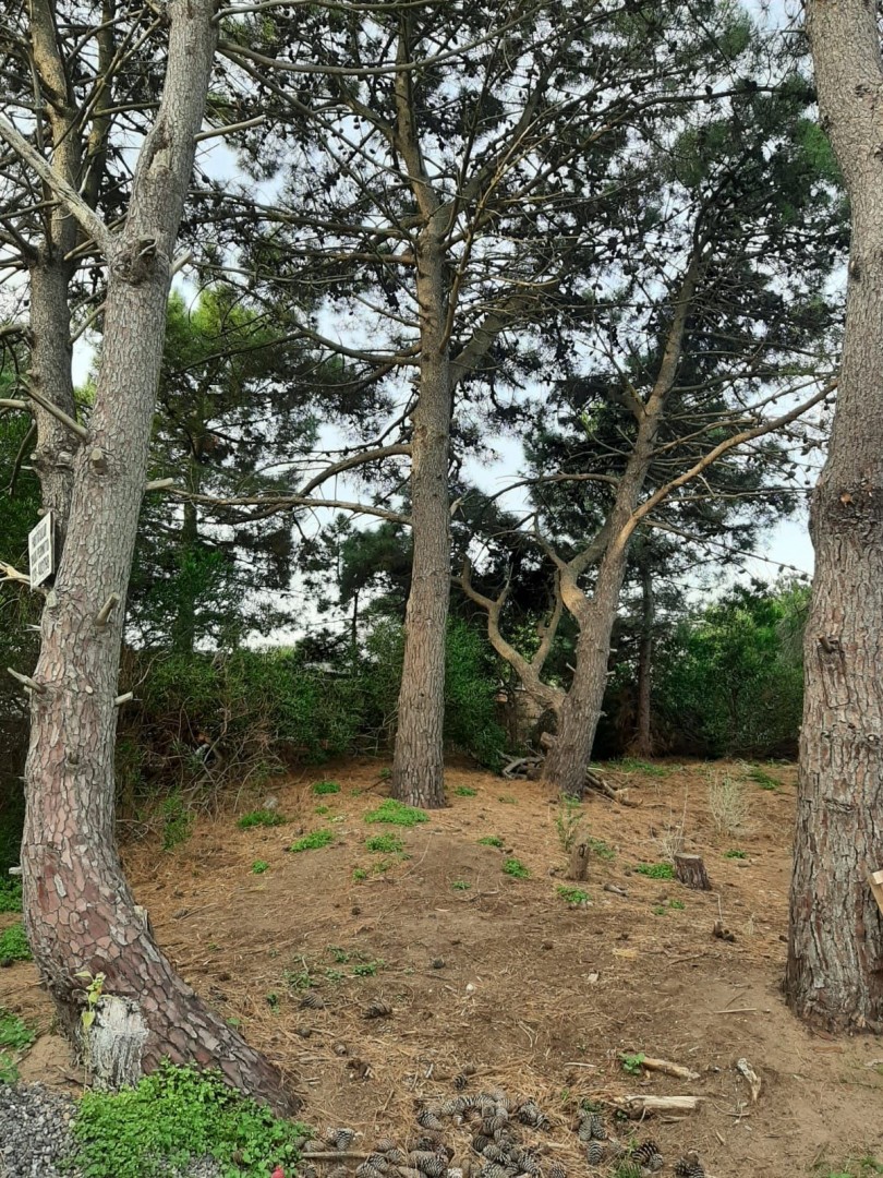 Terreno en Venta en Las Golondrinas 700, Monte del Este, Monte Hermoso - Bahía Blanca Propiedades | SITIO OFICIAL l
