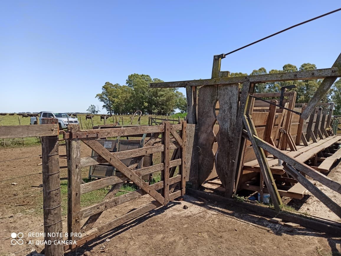 Campo  en Venta - Bahía Blanca Propiedades | SITIO OFICIAL l