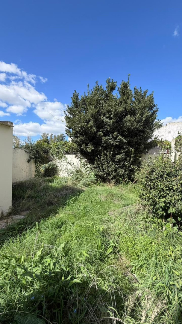 Casa en Venta en COLOMBIA 667, San Cayetano, Bahía Blanca - Bahía Blanca Propiedades | SITIO OFICIAL l