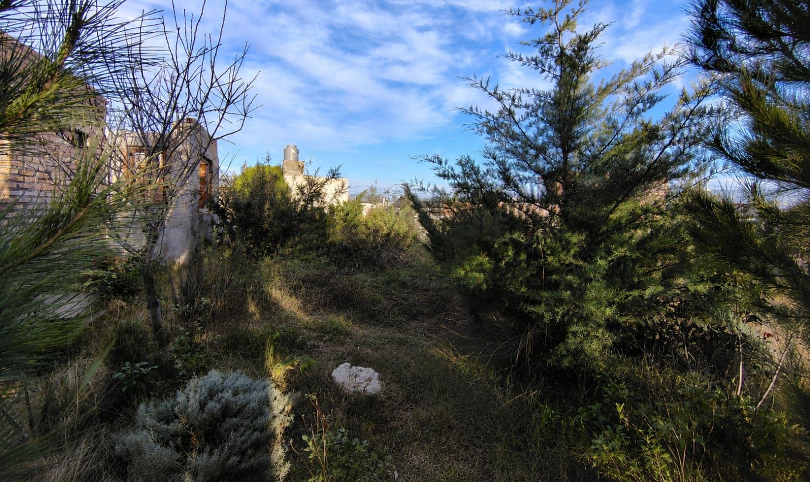 Terreno en Venta en Jose Hernandez 355,  General Cerri - Bahía Blanca Propiedades | SITIO OFICIAL l