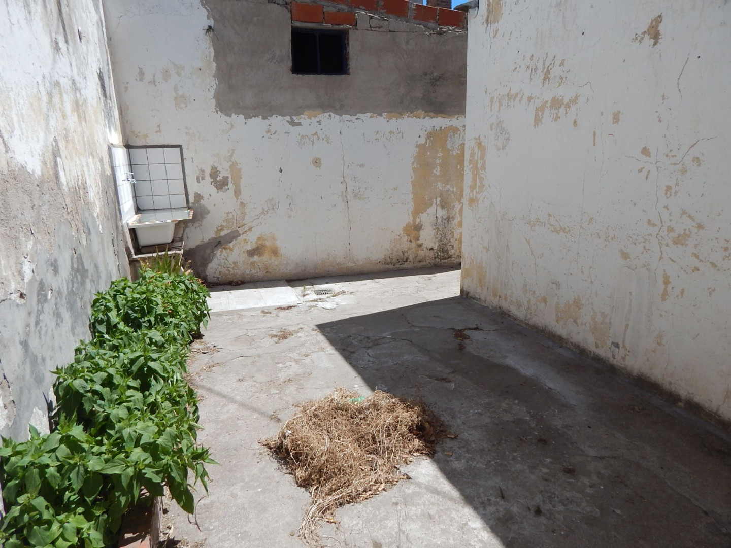 Departamento en Alquiler en Mitre 679, Centro, Bahía Blanca - Bahía Blanca Propiedades | SITIO OFICIAL l