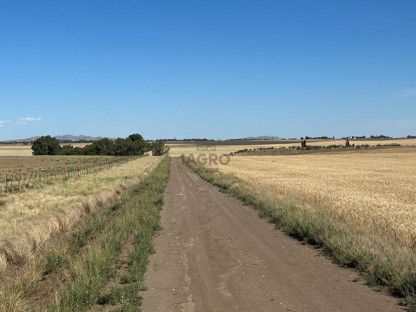 Campo  en Venta en Ruta 33,  Saavedra - Bahía Blanca Propiedades | SITIO OFICIAL l