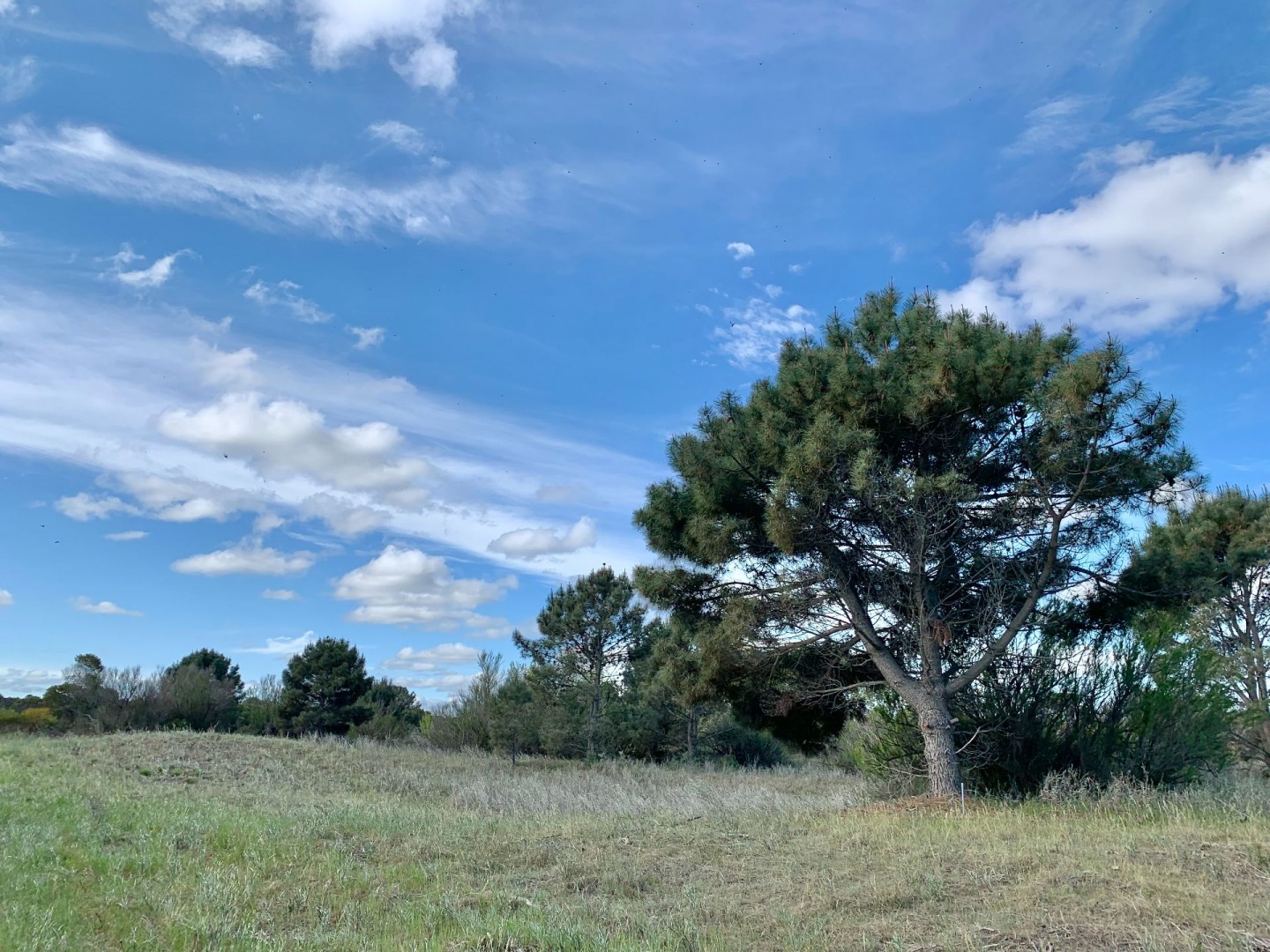 Terreno en Venta en Los Zorzales Y Flamencos, Monte del Este, Monte Hermoso - Bahía Blanca Propiedades | SITIO OFICIAL l