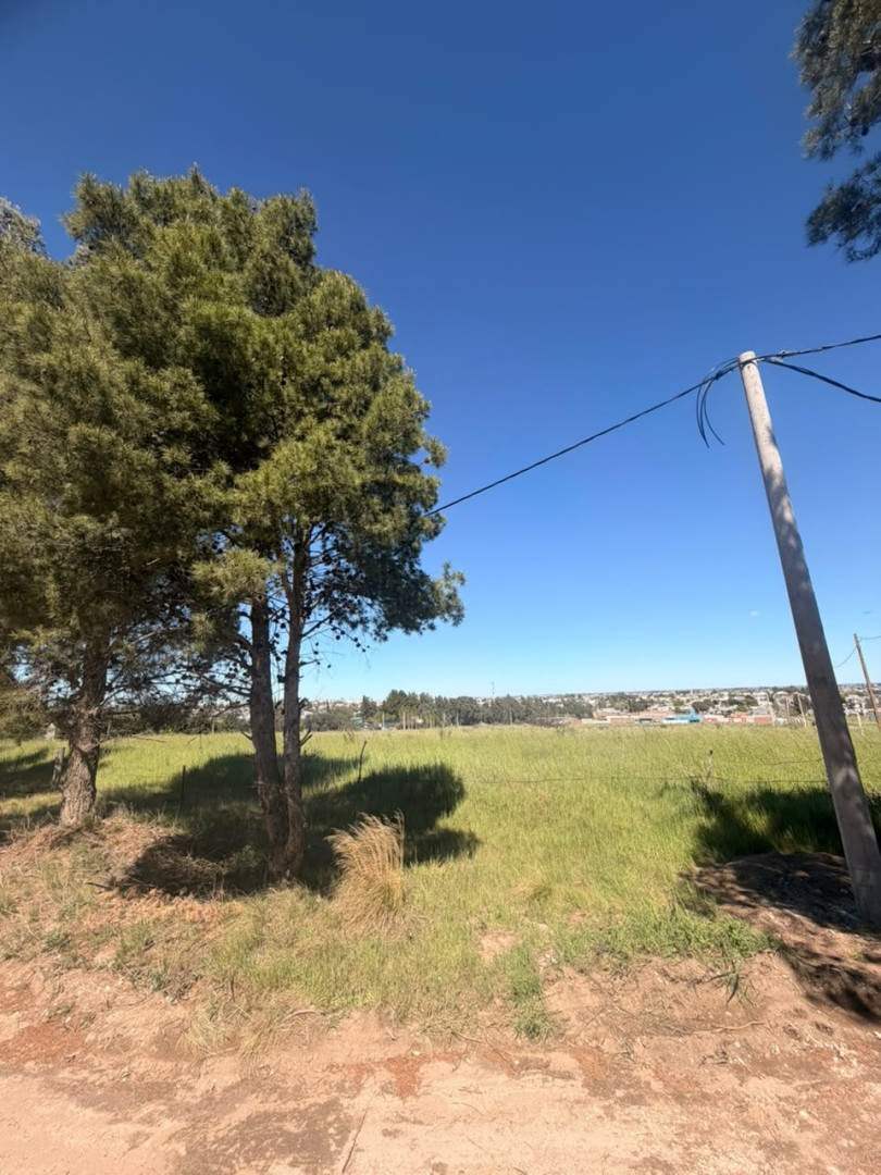 Terreno en Venta en Los Pinos Y Felipe Varela , San Carlos, Bahía Blanca - Bahía Blanca Propiedades | SITIO OFICIAL l