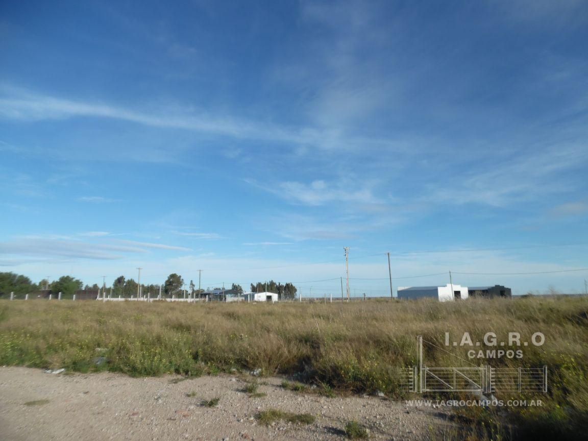Terreno en Venta en Ruta Nacional 3 Sur Km 695,  Bahía Blanca - Bahía Blanca Propiedades | SITIO OFICIAL l