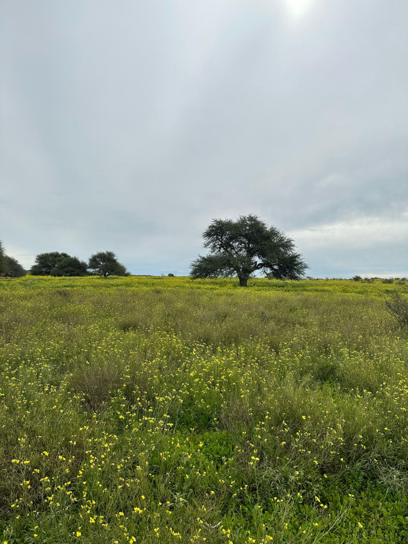 Campo  en Venta   Medanos - Bahía Blanca Propiedades | SITIO OFICIAL l