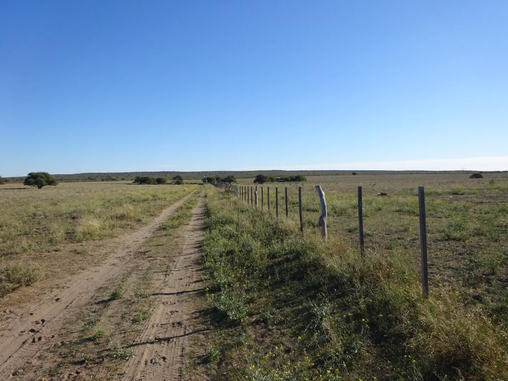 Campo  en Venta   Medanos - Bahía Blanca Propiedades | SITIO OFICIAL l