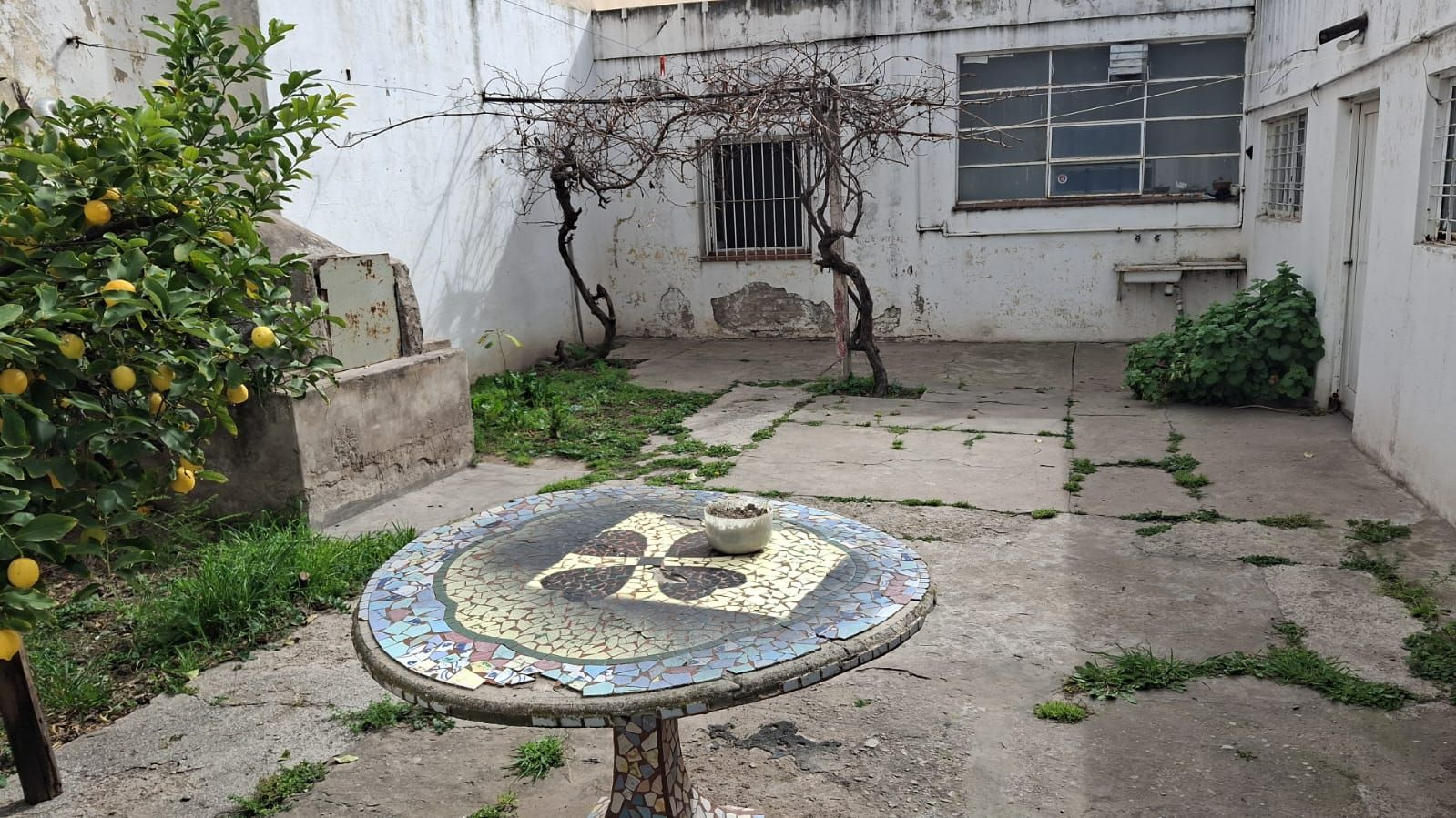 Casa en Venta en Avenida Colon 1300,  Bahía Blanca - Bahía Blanca Propiedades | SITIO OFICIAL l