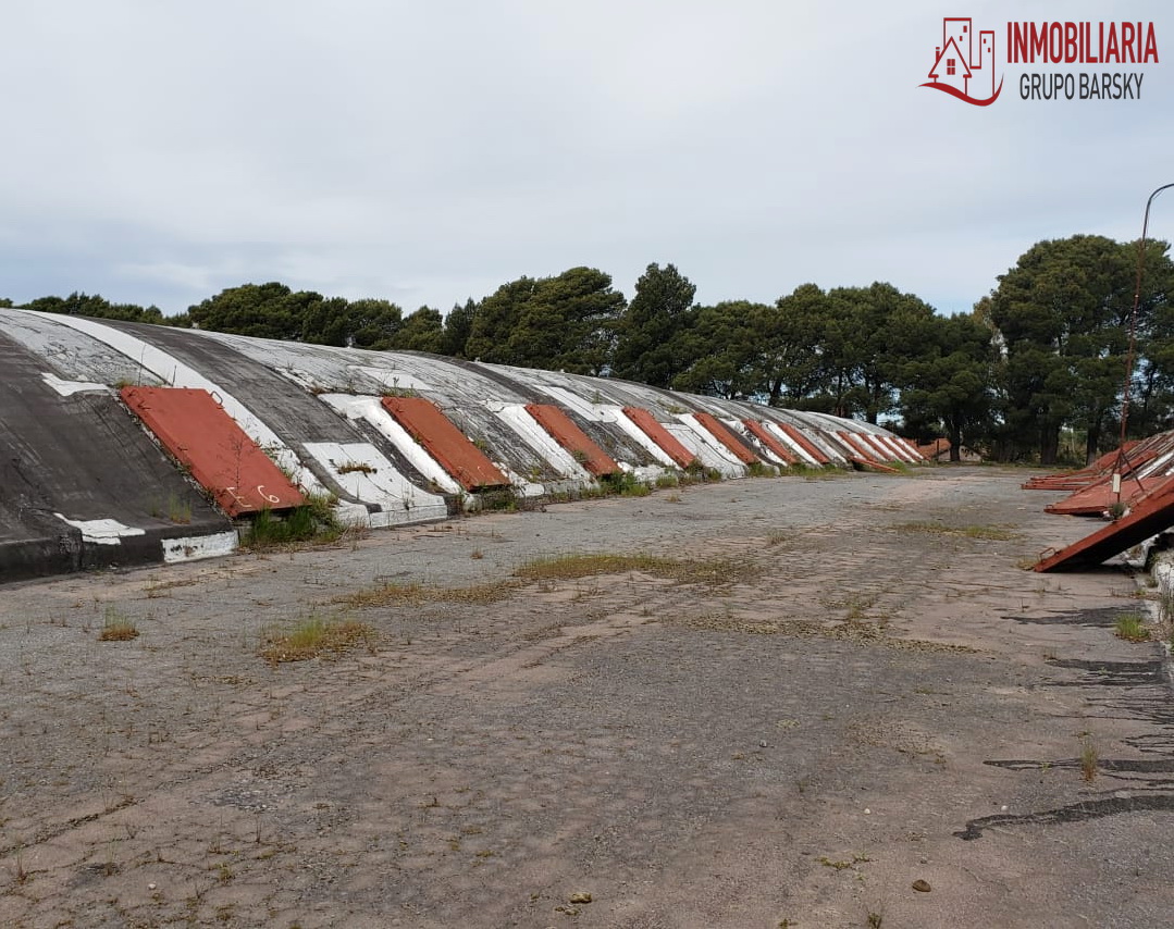 Campo  en Venta   Coronel Dorrego - Bahía Blanca Propiedades | SITIO OFICIAL l