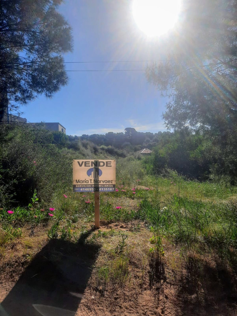 Terreno en Venta   Pehuen Co - Bahía Blanca Propiedades | SITIO OFICIAL l