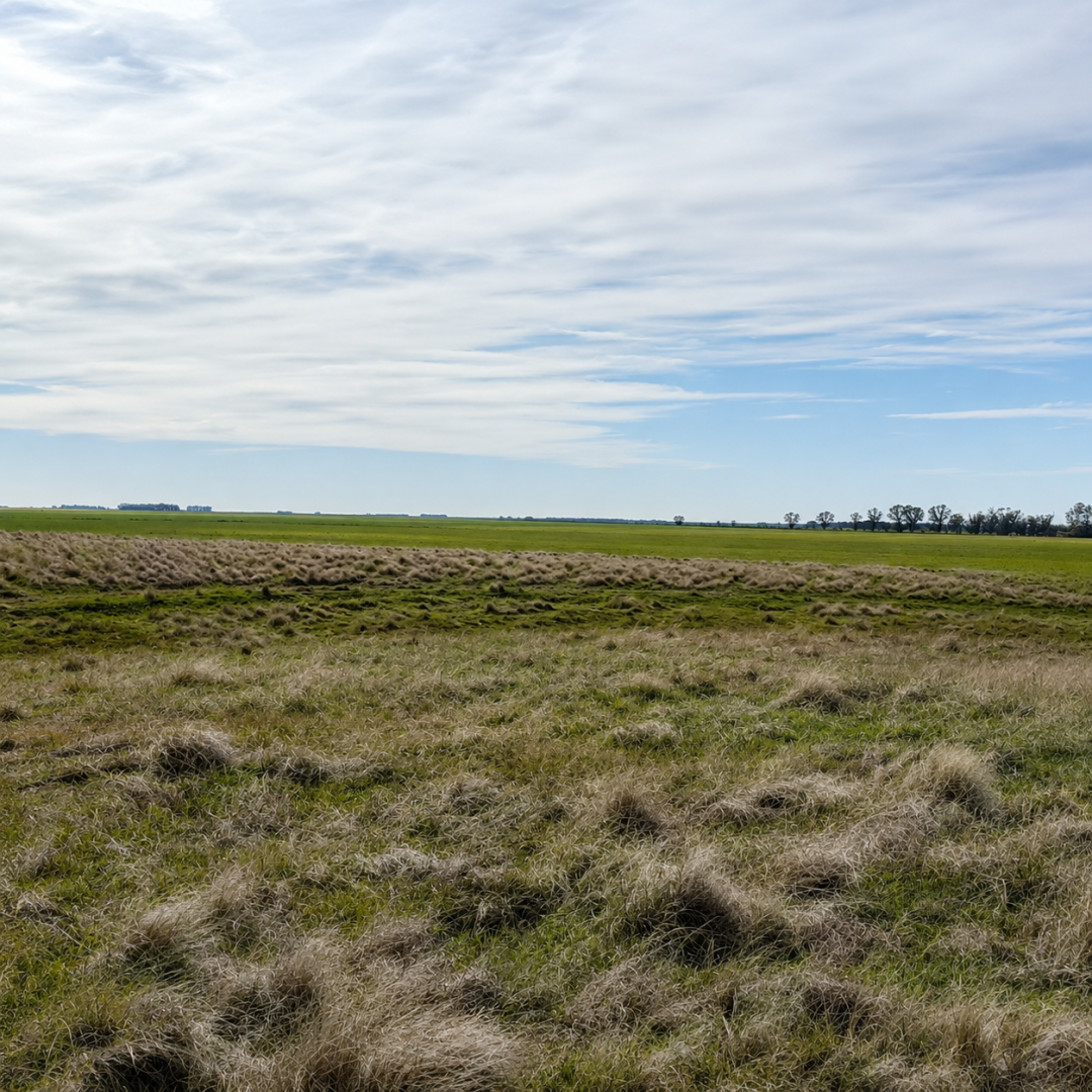 Terreno en Venta   Balneario Reta - Bahía Blanca Propiedades | SITIO OFICIAL l