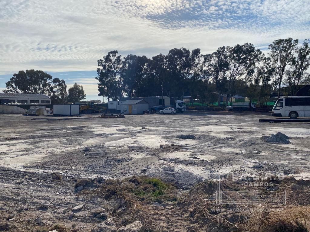 Galpón en Venta en Charlone Y Ruta 3,  Bahía Blanca - Bahía Blanca Propiedades | SITIO OFICIAL l