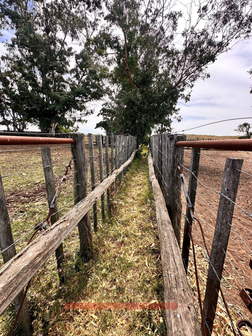 Campo  en Venta   Coronel Dorrego - Bahía Blanca Propiedades | SITIO OFICIAL l