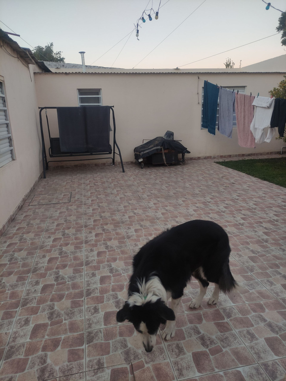 Casa en Alquiler en Beruti 1500,  Bahía Blanca - Bahía Blanca Propiedades | SITIO OFICIAL l