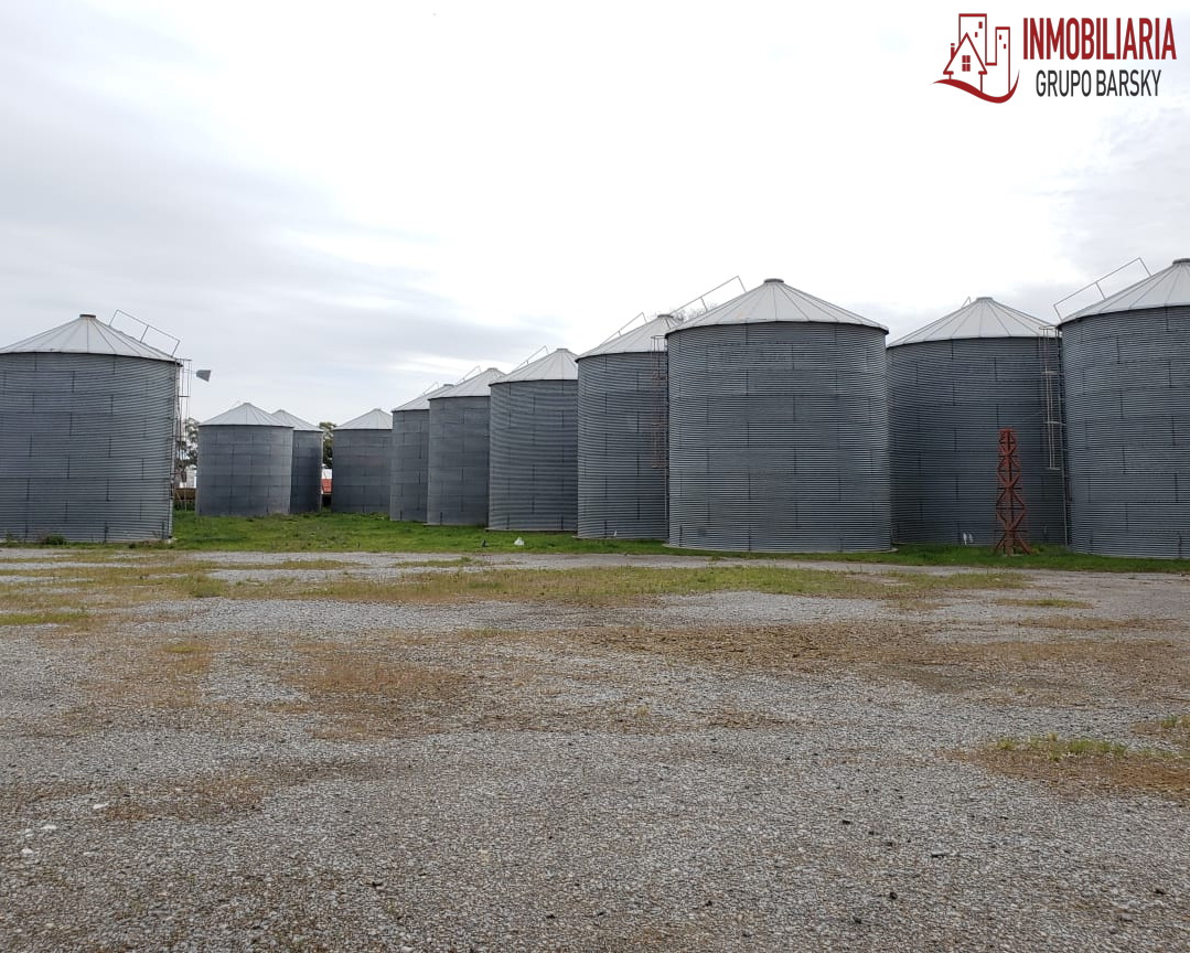 Campo  en Venta   Coronel Dorrego - Bahía Blanca Propiedades | SITIO OFICIAL l