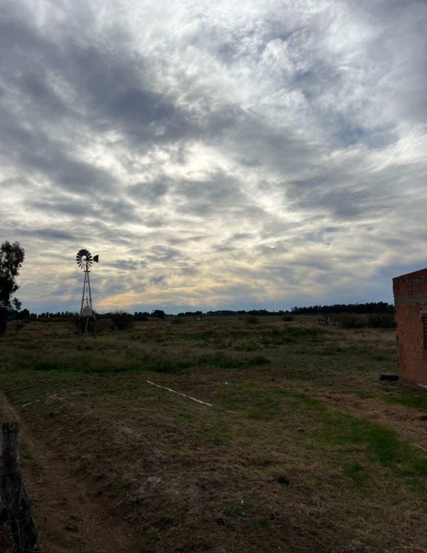 Terreno en Venta en Ruta 22,  Medanos - Bahía Blanca Propiedades | SITIO OFICIAL l