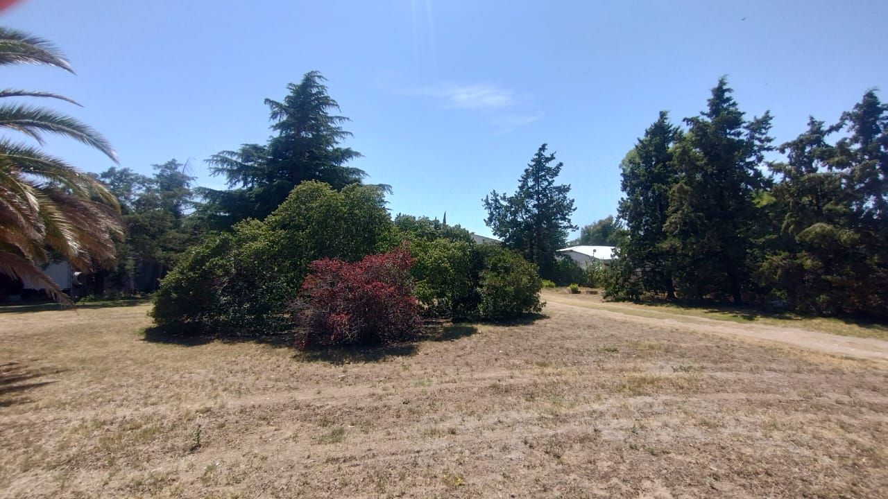 Casaquinta en Venta   Chasico - Bahía Blanca Propiedades | SITIO OFICIAL l