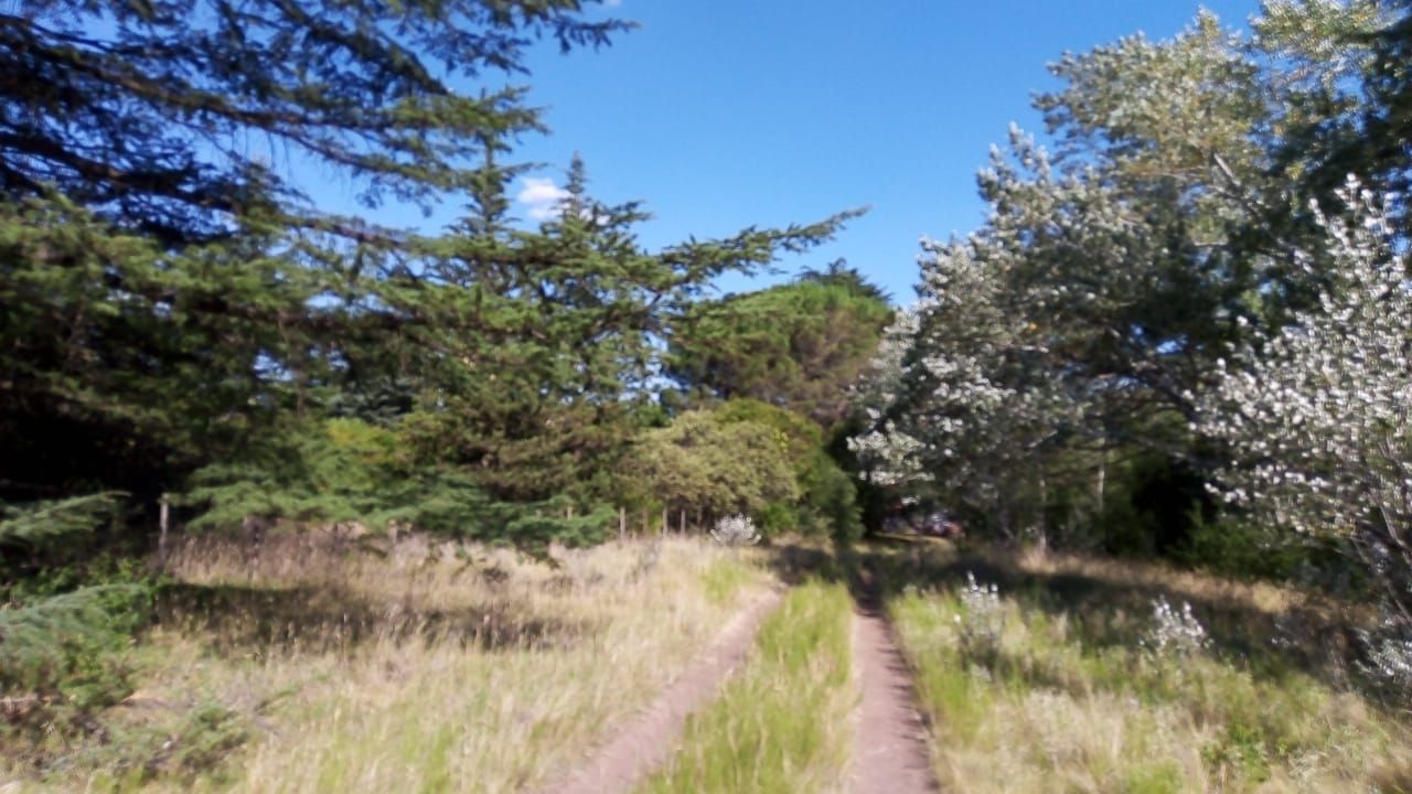 Terreno en Venta en Tres Picos 630,  Sierra de  la Ventana - Bahía Blanca Propiedades | SITIO OFICIAL l