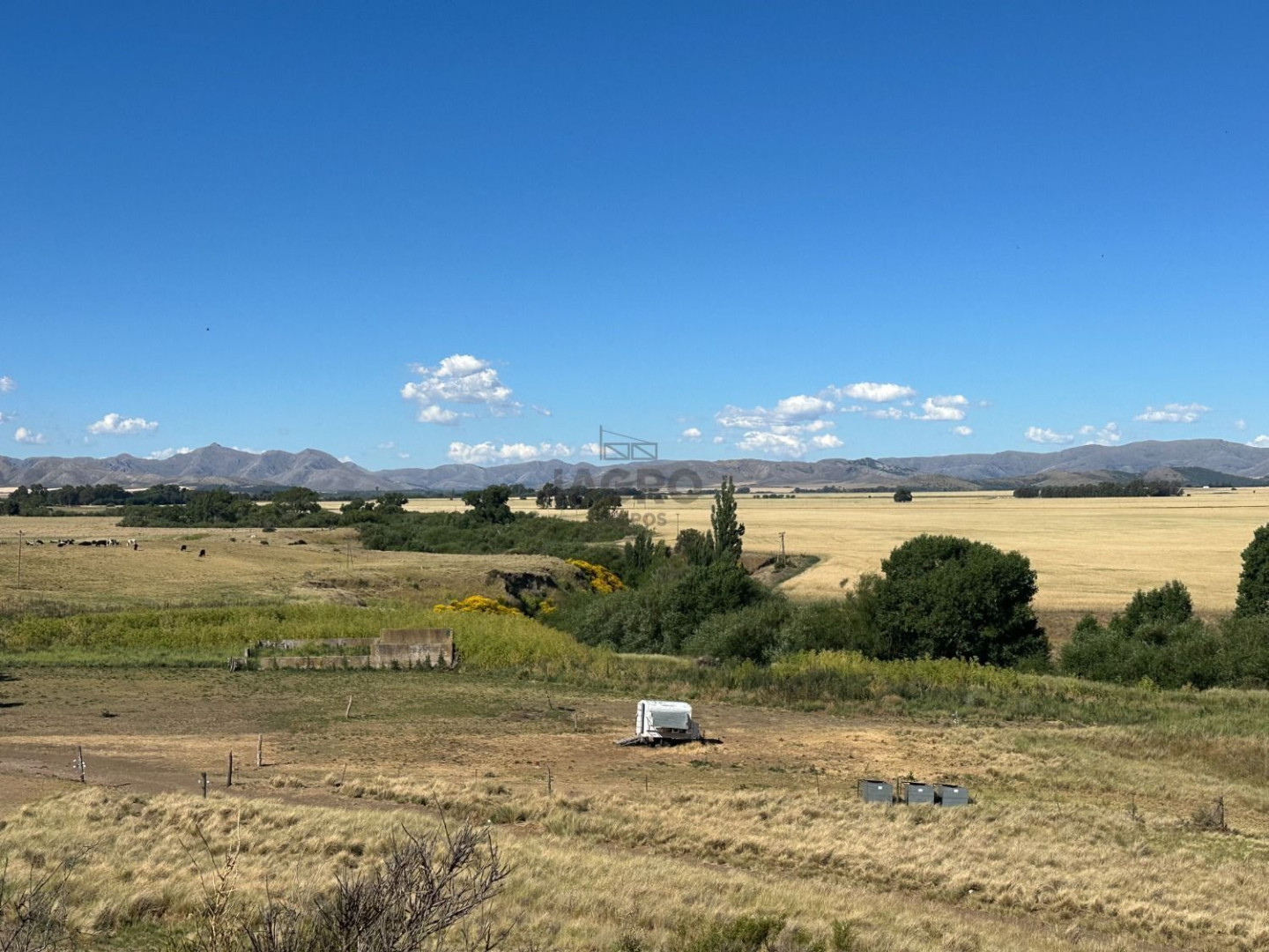 Campo  en Venta en Ruta 33,  Saavedra - Bahía Blanca Propiedades | SITIO OFICIAL l
