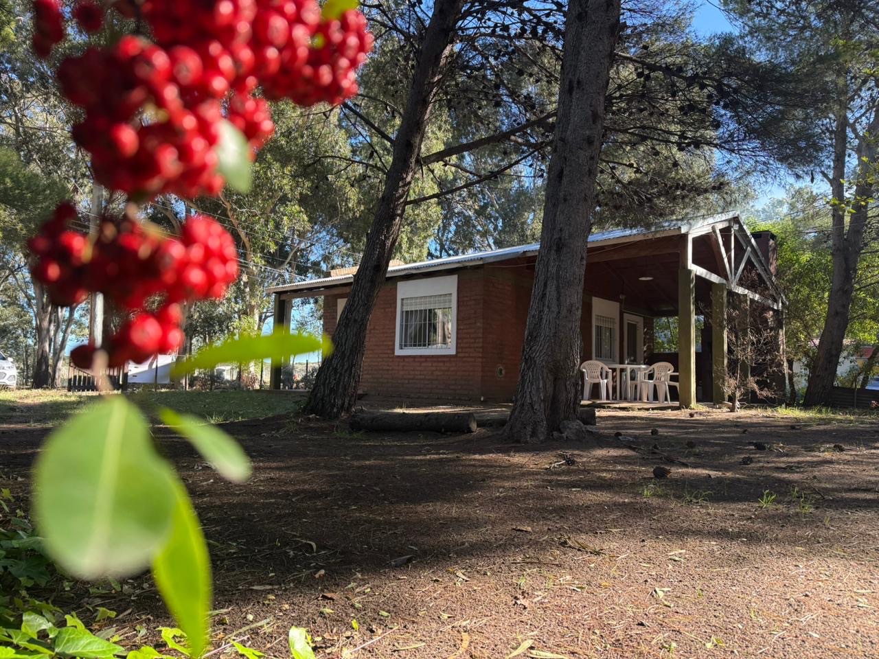 Casa en Venta en Ameghino 337, Pueblo Darwin, Pehuen Co - Bahía Blanca Propiedades | SITIO OFICIAL l