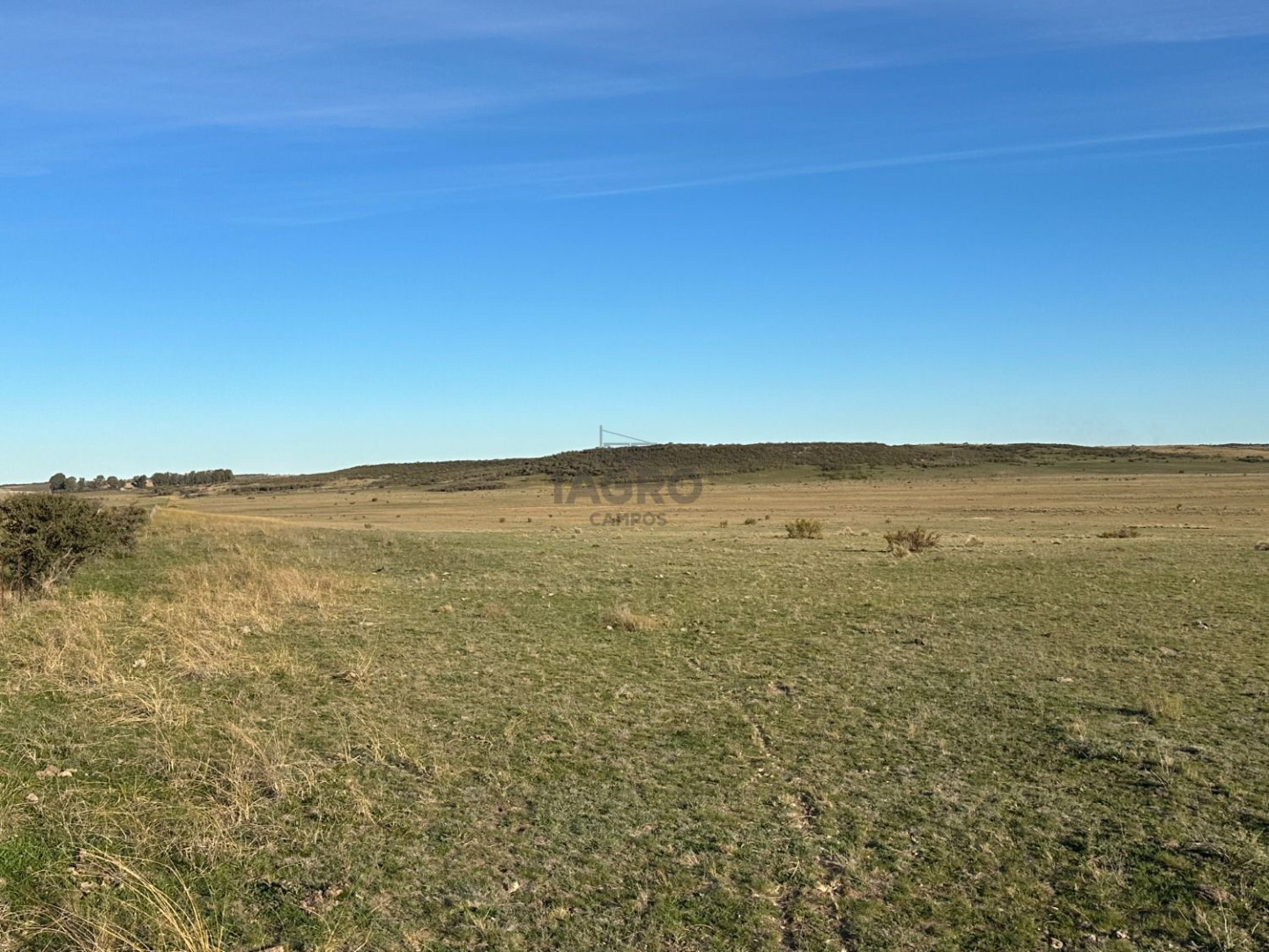 Campo  en Venta en Partido De Villarino,  Villarino - Bahía Blanca Propiedades | SITIO OFICIAL l