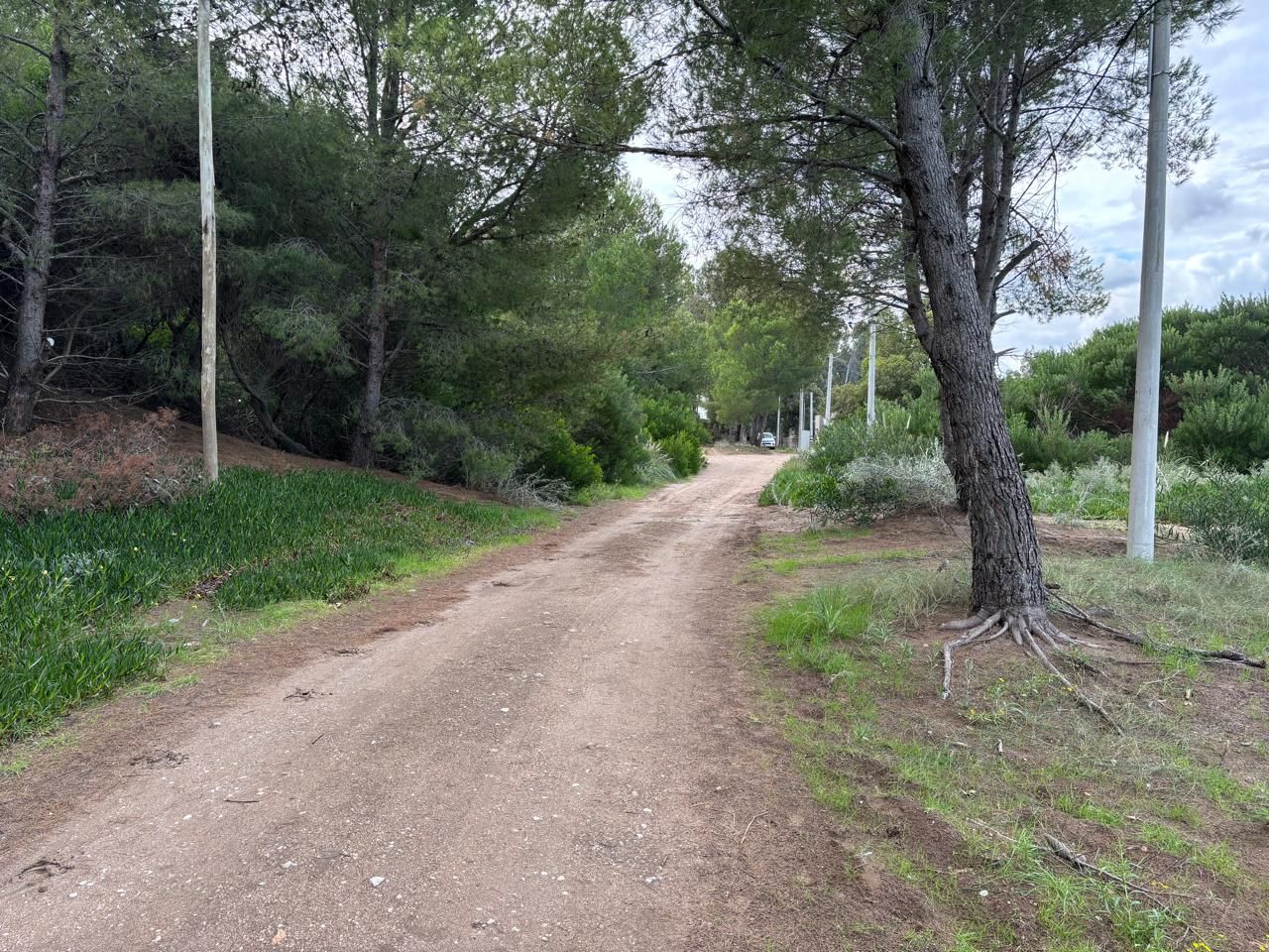 Terreno en Venta en Del Covento Y Mar Del Tuyu, El Sauce, Monte Hermoso - Bahía Blanca Propiedades | SITIO OFICIAL l