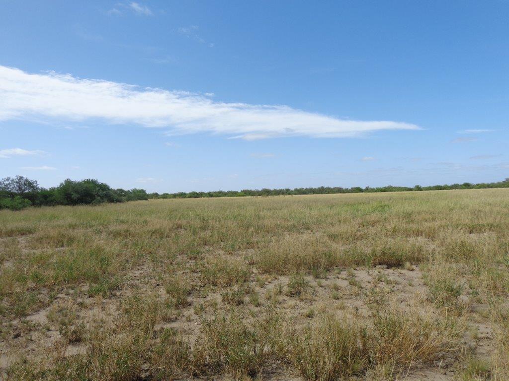 Campo  en Venta en Algarrobo Buenos Aires,  Algarrobo - Bahía Blanca Propiedades | SITIO OFICIAL l