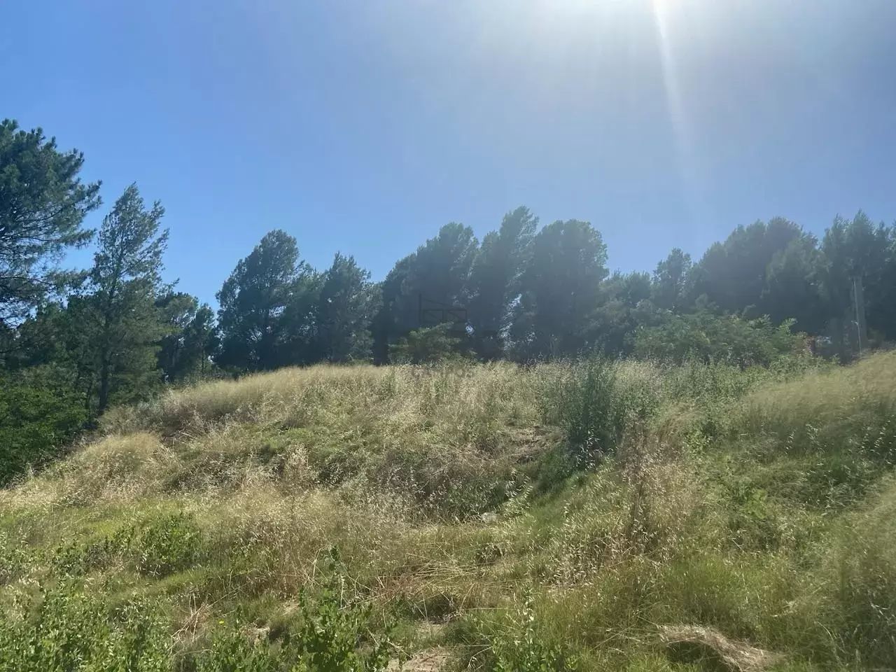 Terreno en Venta en Barrio Dufaur, Dufaur, Monte Hermoso - Bahía Blanca Propiedades | SITIO OFICIAL l