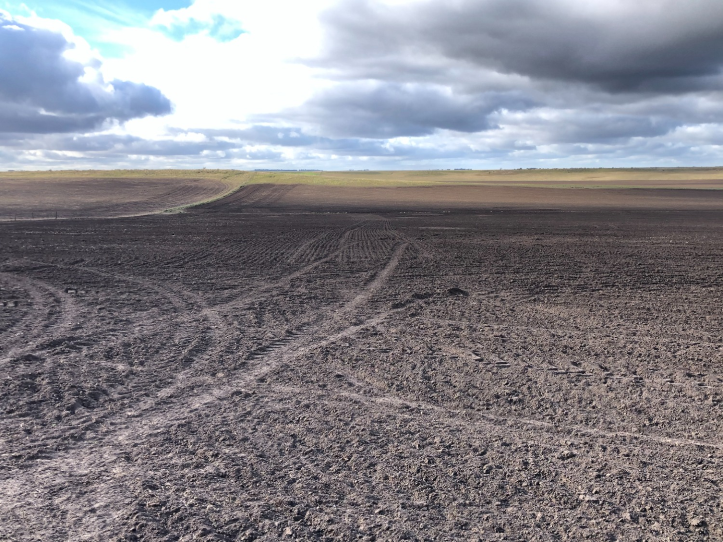 Campo  en Venta en Coronel Dorrego,  Coronel Dorrego - Bahía Blanca Propiedades | SITIO OFICIAL l