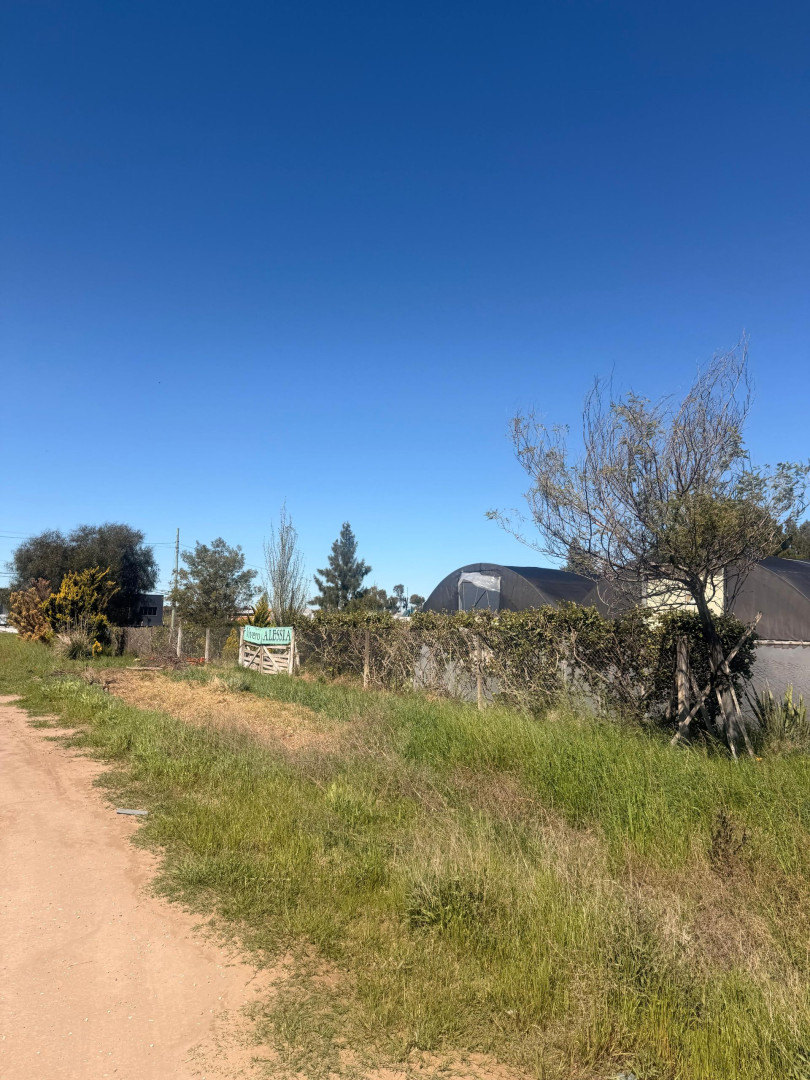 Terreno en Venta en Felipe Varela 1600, San Carlos, Bahía Blanca - Bahía Blanca Propiedades | SITIO OFICIAL l