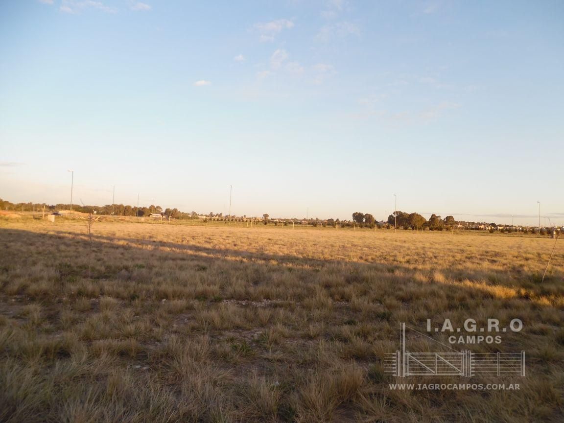 Terreno en Venta en Las Acacias II, Las Acacias, Bahía Blanca - Bahía Blanca Propiedades | SITIO OFICIAL l