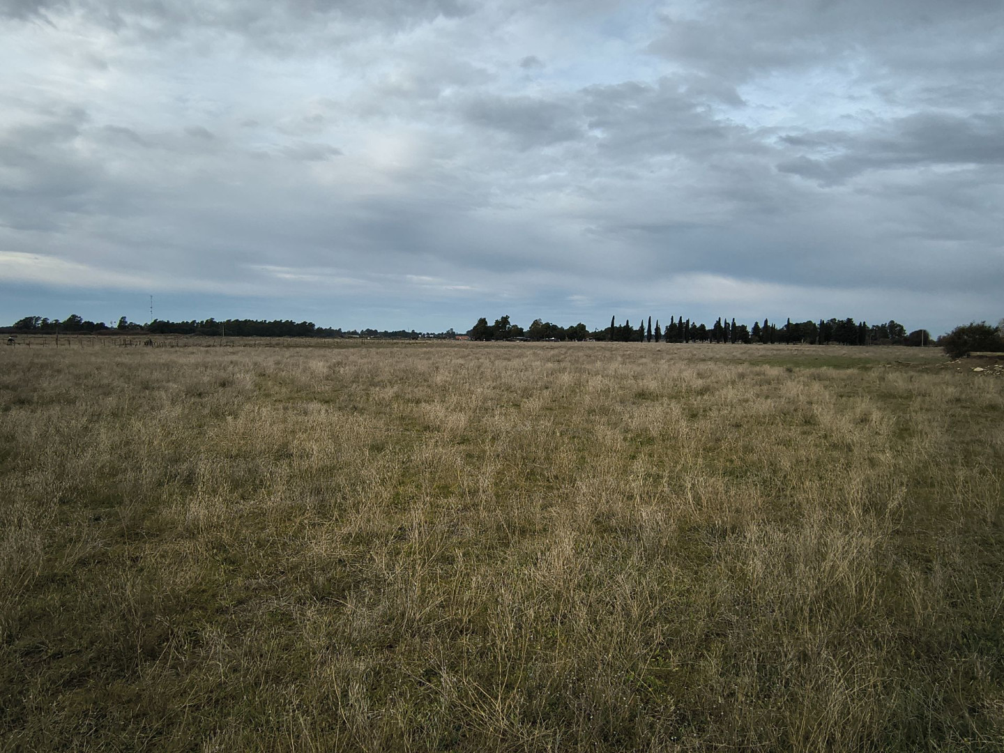 Campo  en Venta en Colonia Los Alfalfares,  Medanos - Bahía Blanca Propiedades | SITIO OFICIAL l