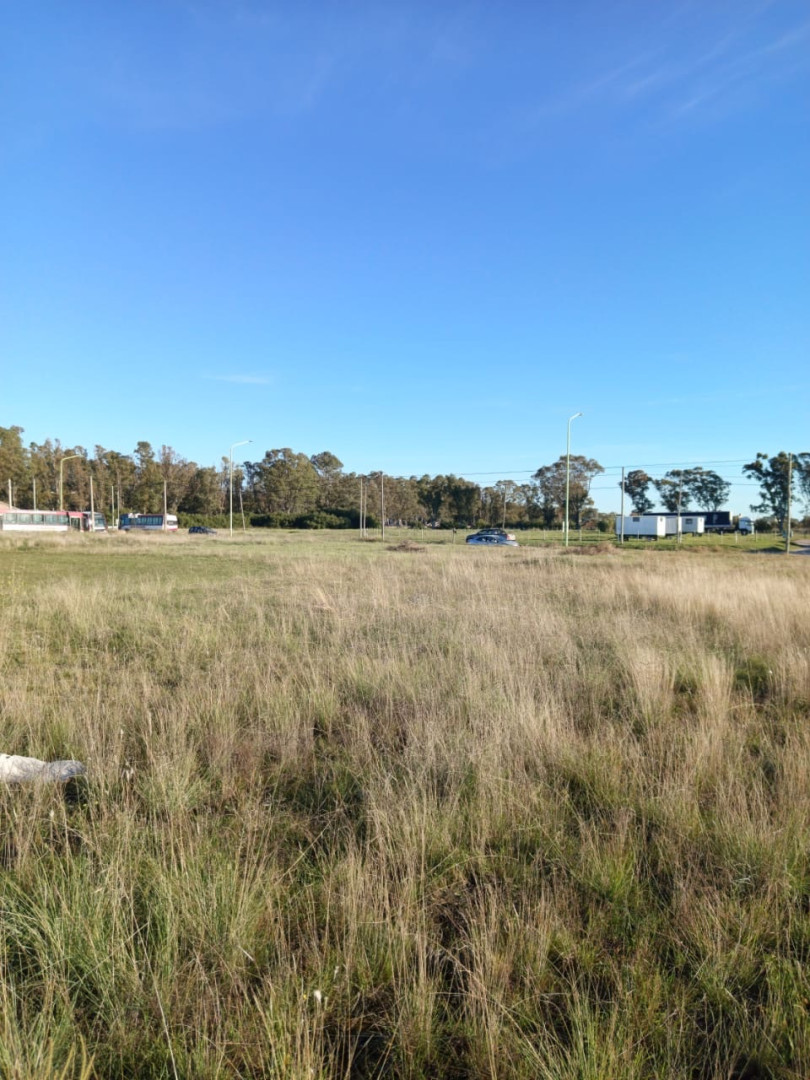 Terreno en Venta en Castelli 4000,  Bahía Blanca - Bahía Blanca Propiedades | SITIO OFICIAL l