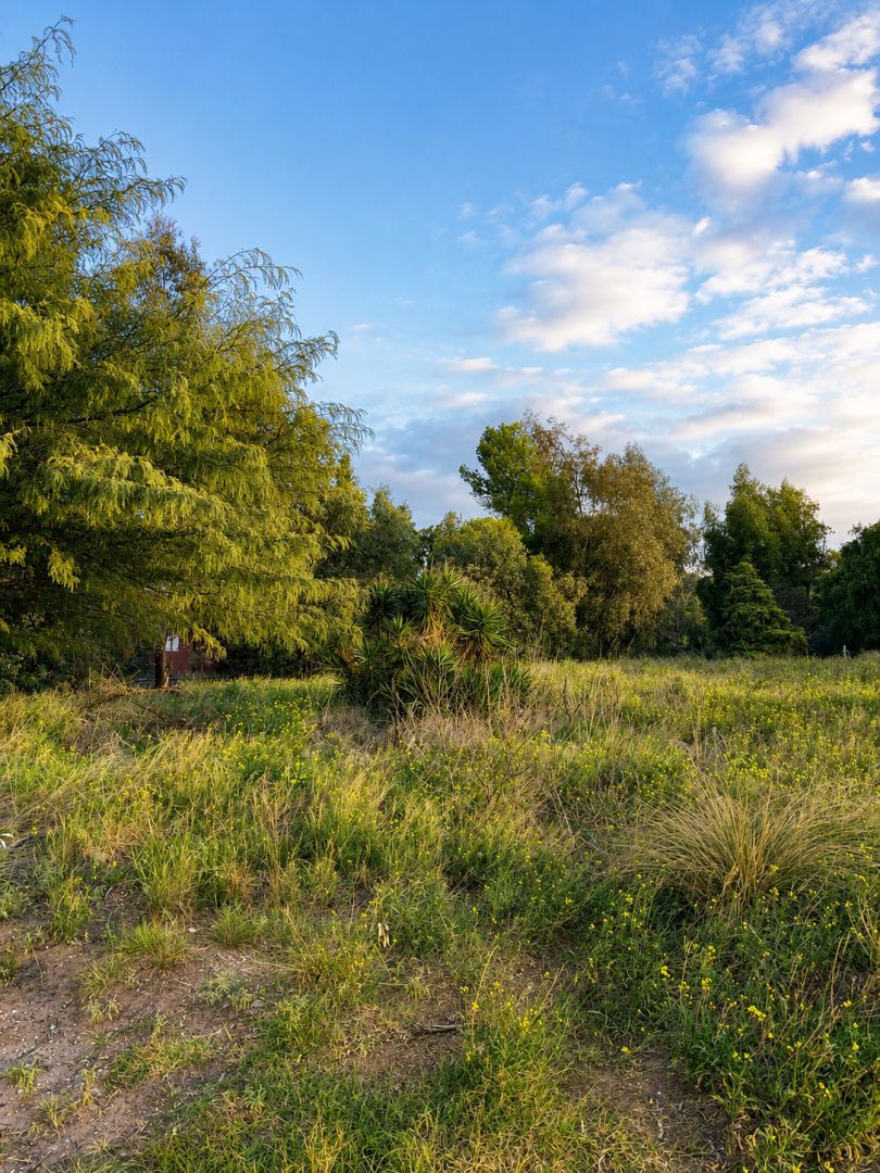 Terreno en Venta en ANTONIO CRESPI VALLS Y DOMINGO PONSATO, San Carlos, Bahía Blanca - Bahía Blanca Propiedades | SITIO OFICIAL l
