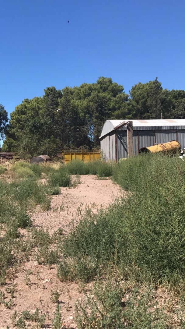 Galpón en Venta en RINCON 4100,  Bahía Blanca - Bahía Blanca Propiedades | SITIO OFICIAL l