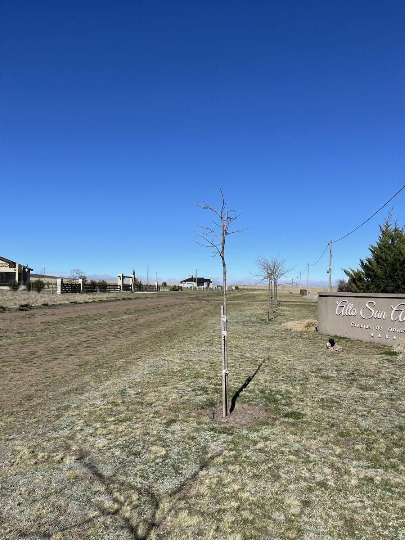 Cabaña en Venta en Ruta Provincial 76 Km 230, Barrio Parque San Andres De La Sierra, Abra de la Ventana , Sierra de  la Ventana - Bahía Blanca Propiedades | SITIO OFICIAL l