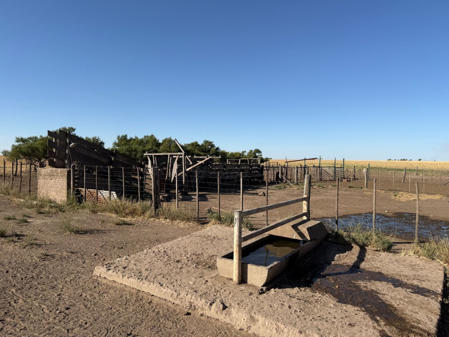 Campo  en Venta en Nueva Roma,  Tornquist - Bahía Blanca Propiedades | SITIO OFICIAL l